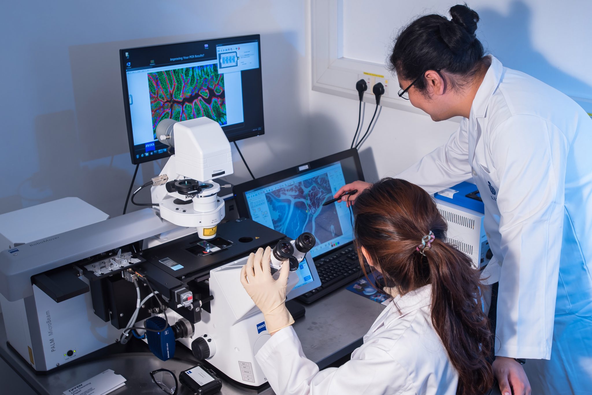 MSc In Biotechnology The Division Of Life Science At HKUST
